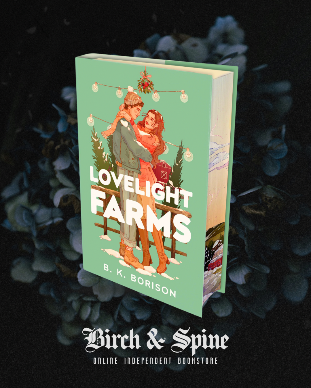 Lovelight Farms by B.K. Borison Deluxe Sprayed Edge