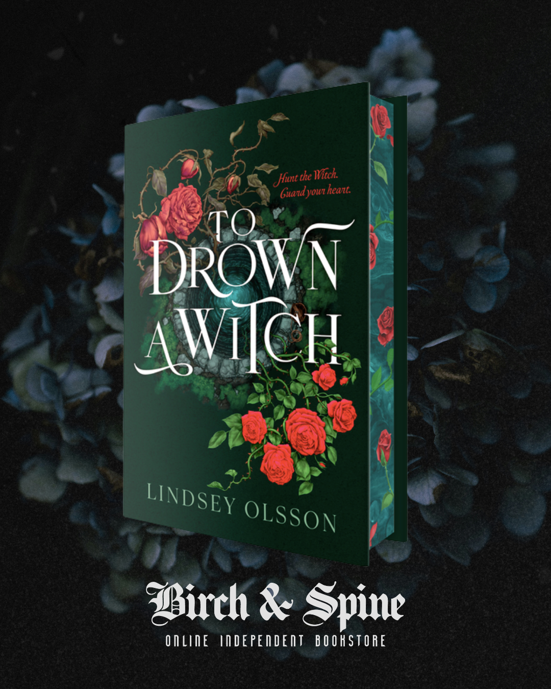 To Drown a Witch by Lyndsey Olsson (US Sprayed Edge Hardcover)