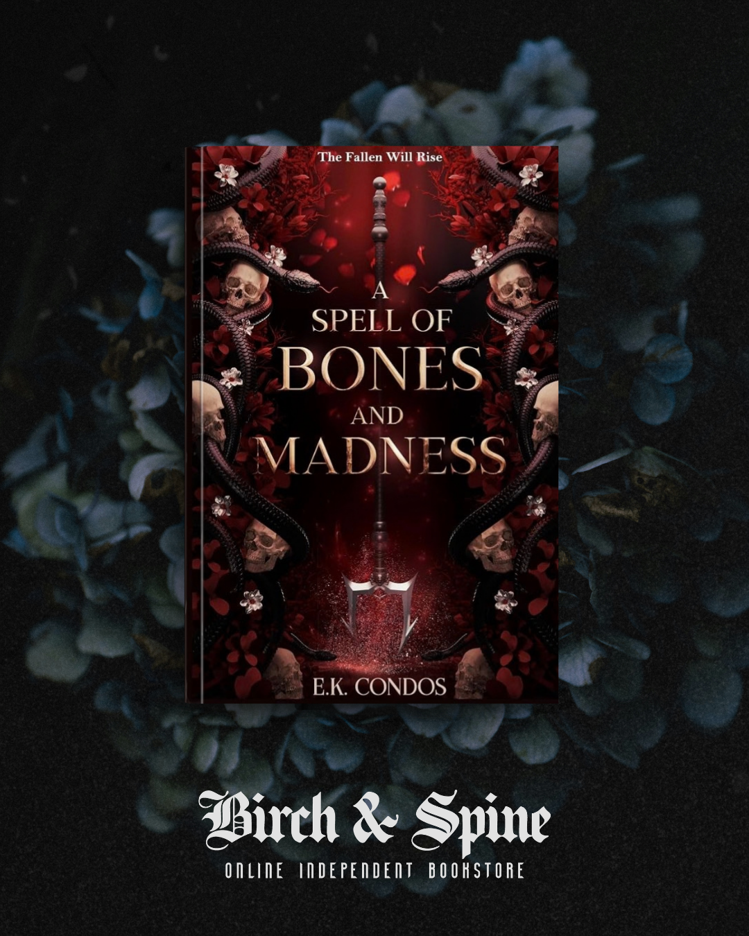 Spell of Bones and Madness by E.K. Condos