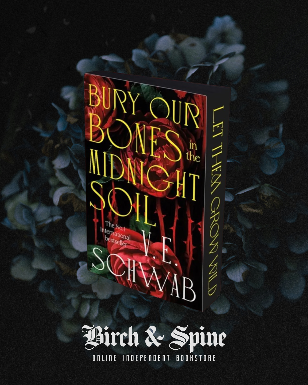 Bury our Bones in the Midnight Soul by V.E. Schwab