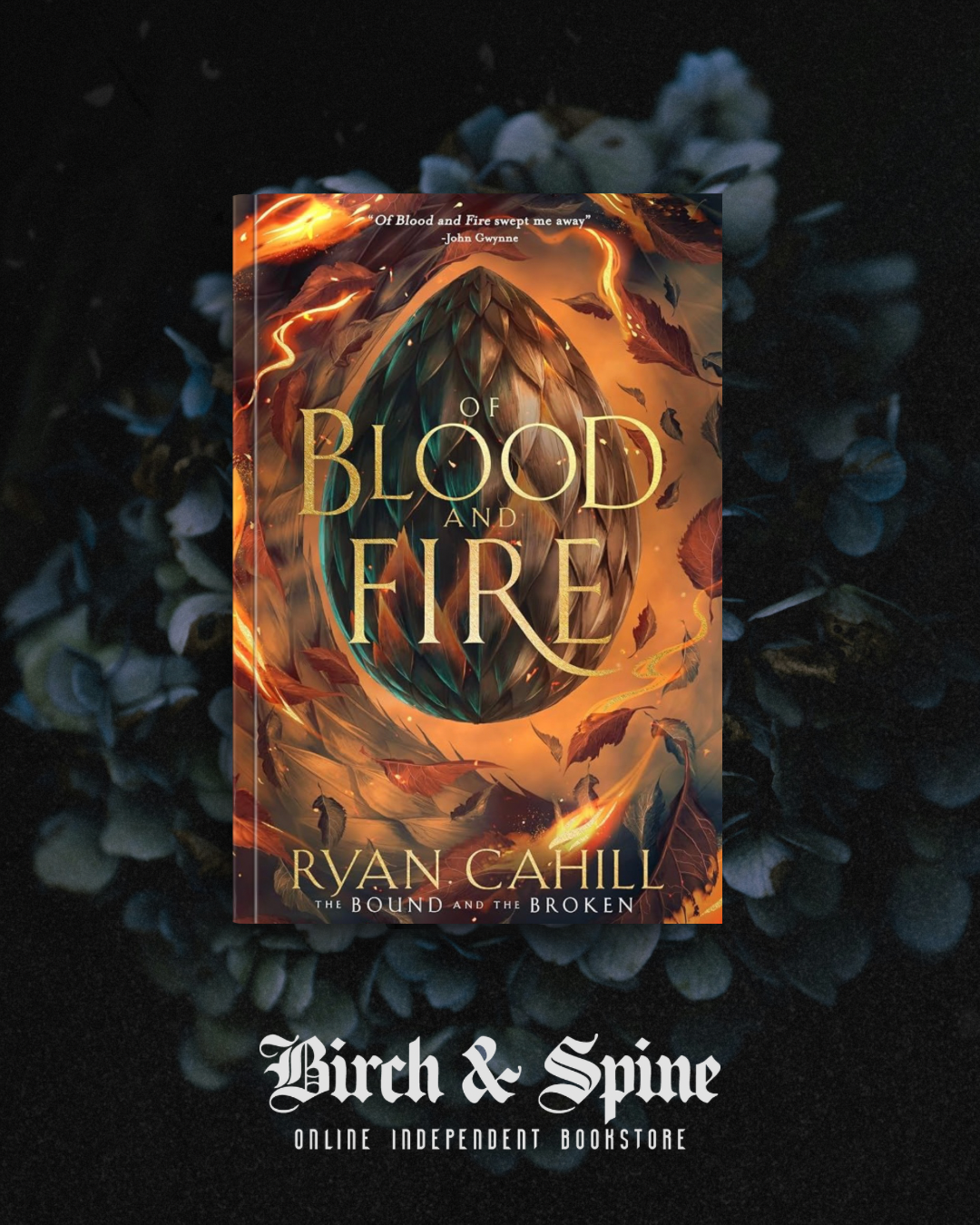 Of Blood and Fire by Ryan Cahill - Signed