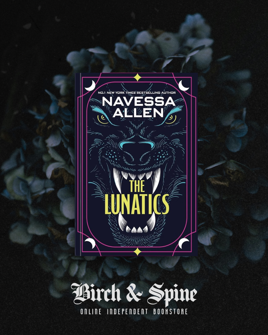 Lunatics by Navessa Allen
