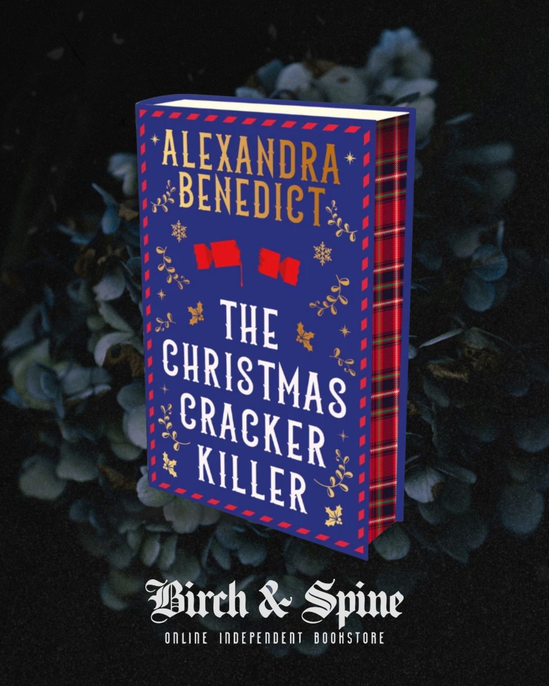 The Christmas Cracker Killer by Alexandra Benedict