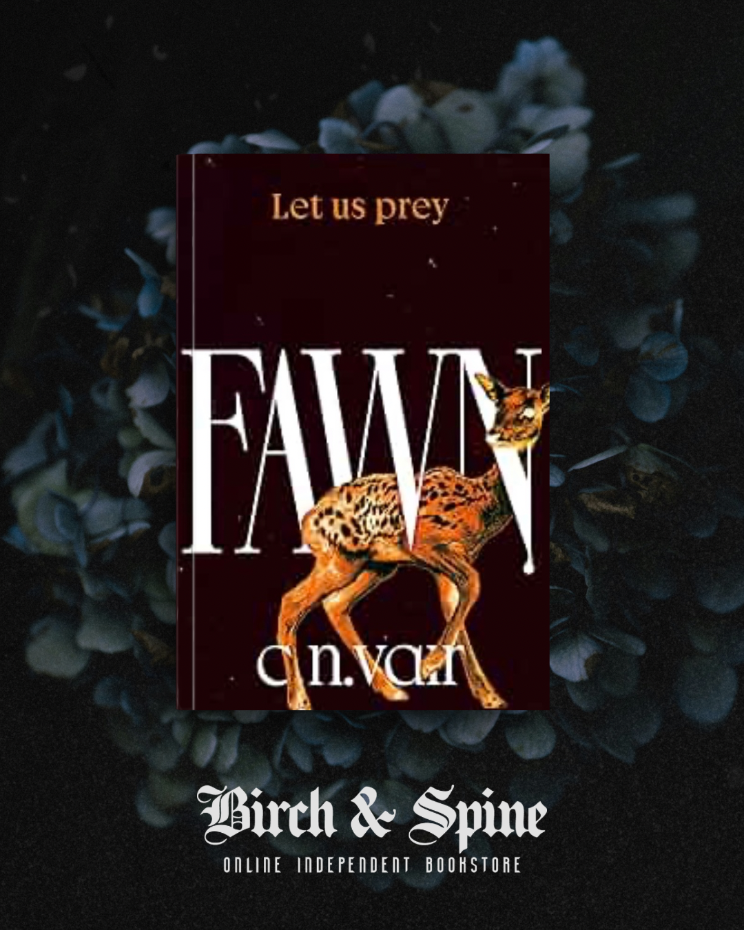 Fawn by C.N. Vair