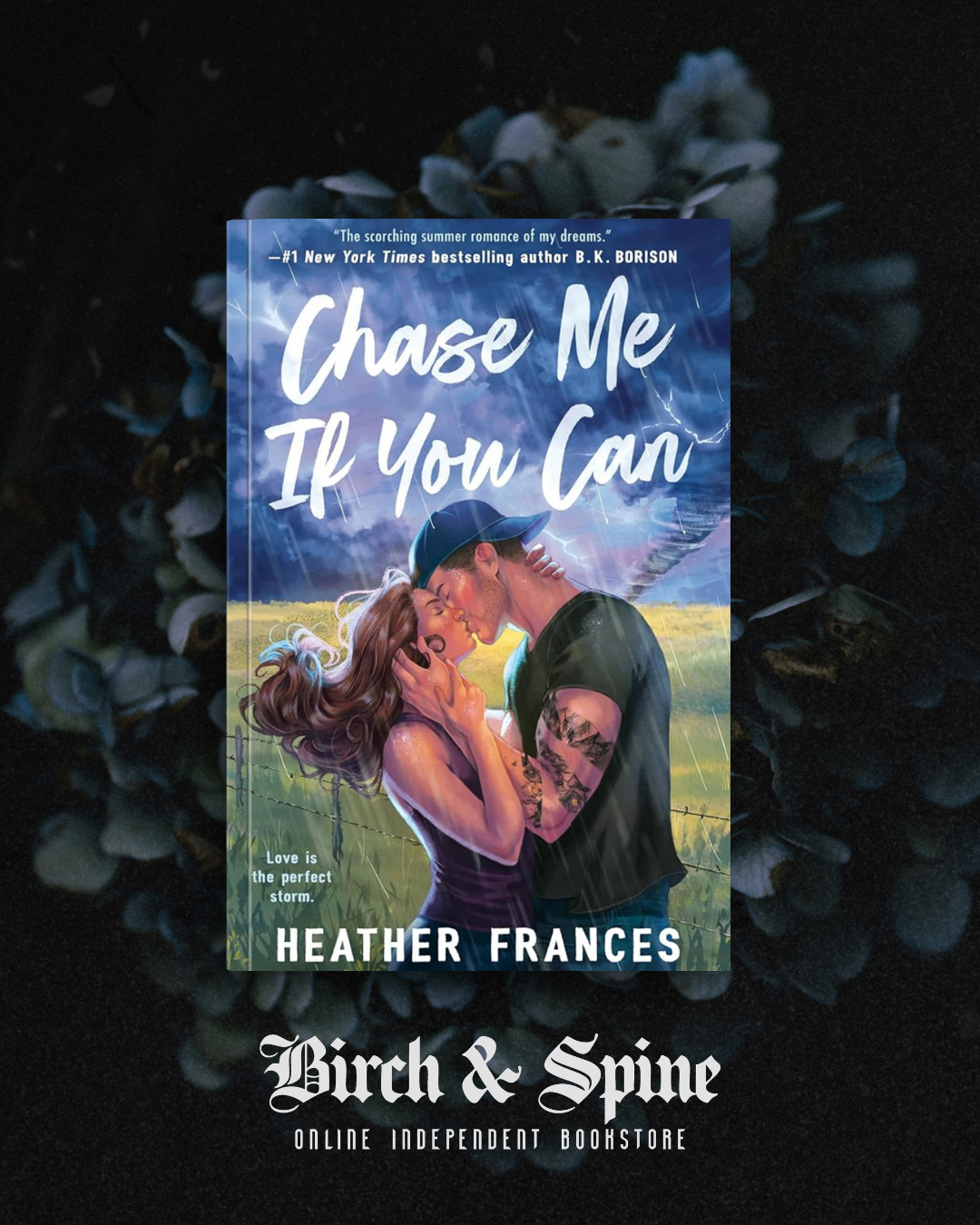 Chase me if you can by Heather Frances