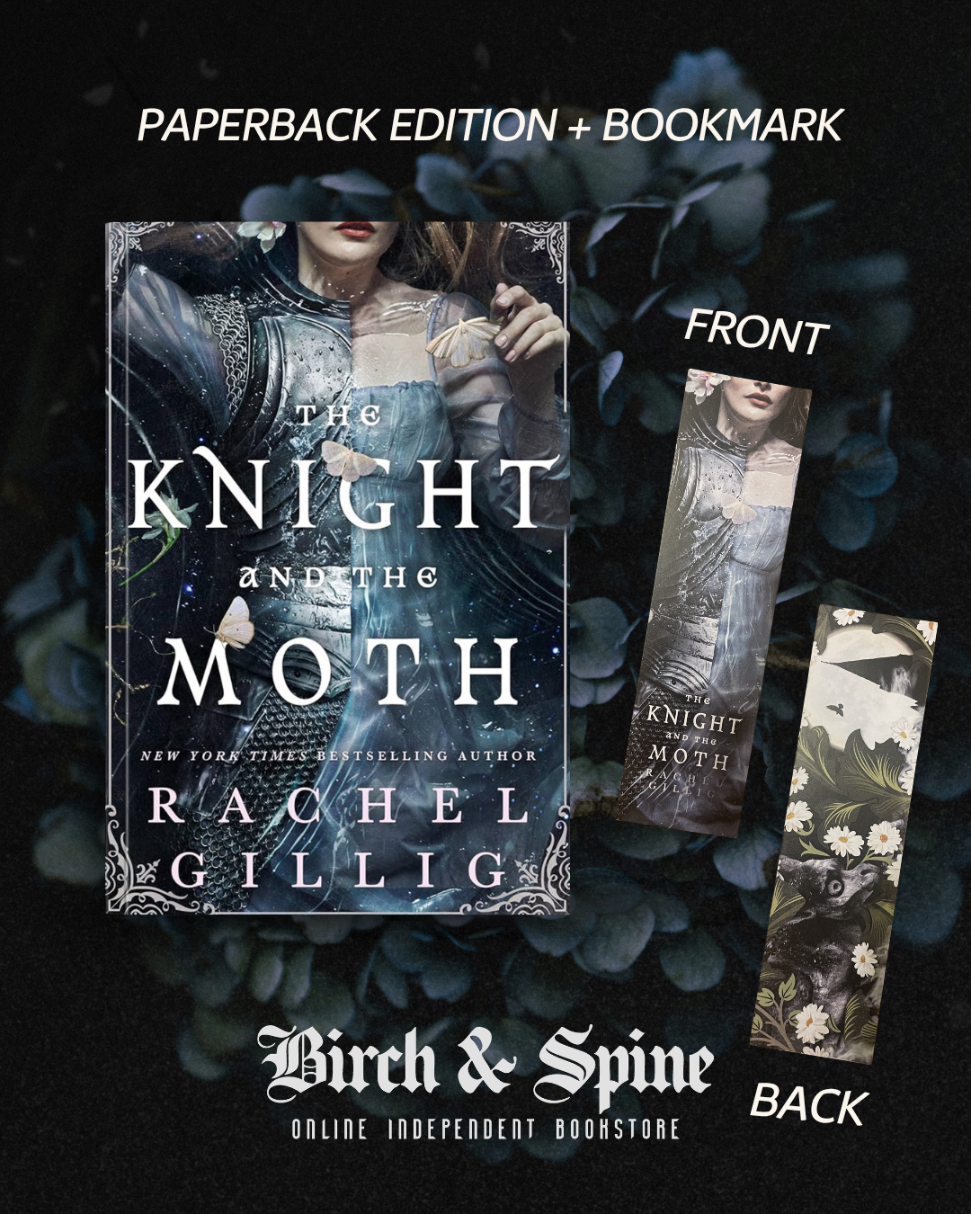 The Knight and the Moth by Rachel Gillig