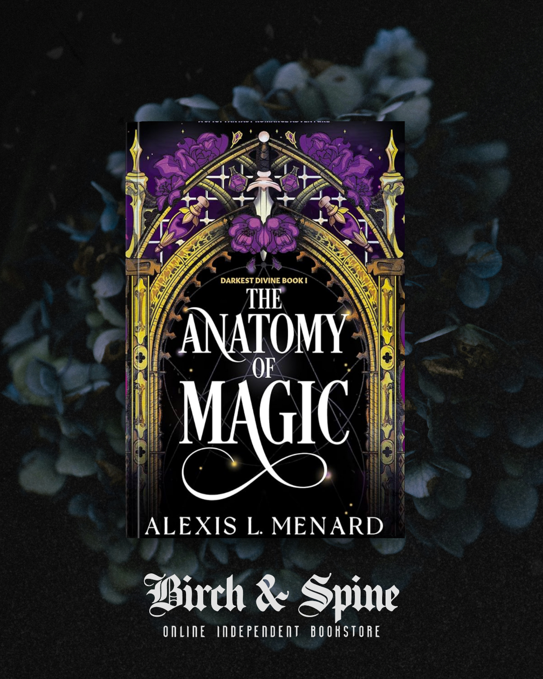 The Anatomy of Magic by Alexis L. Menard