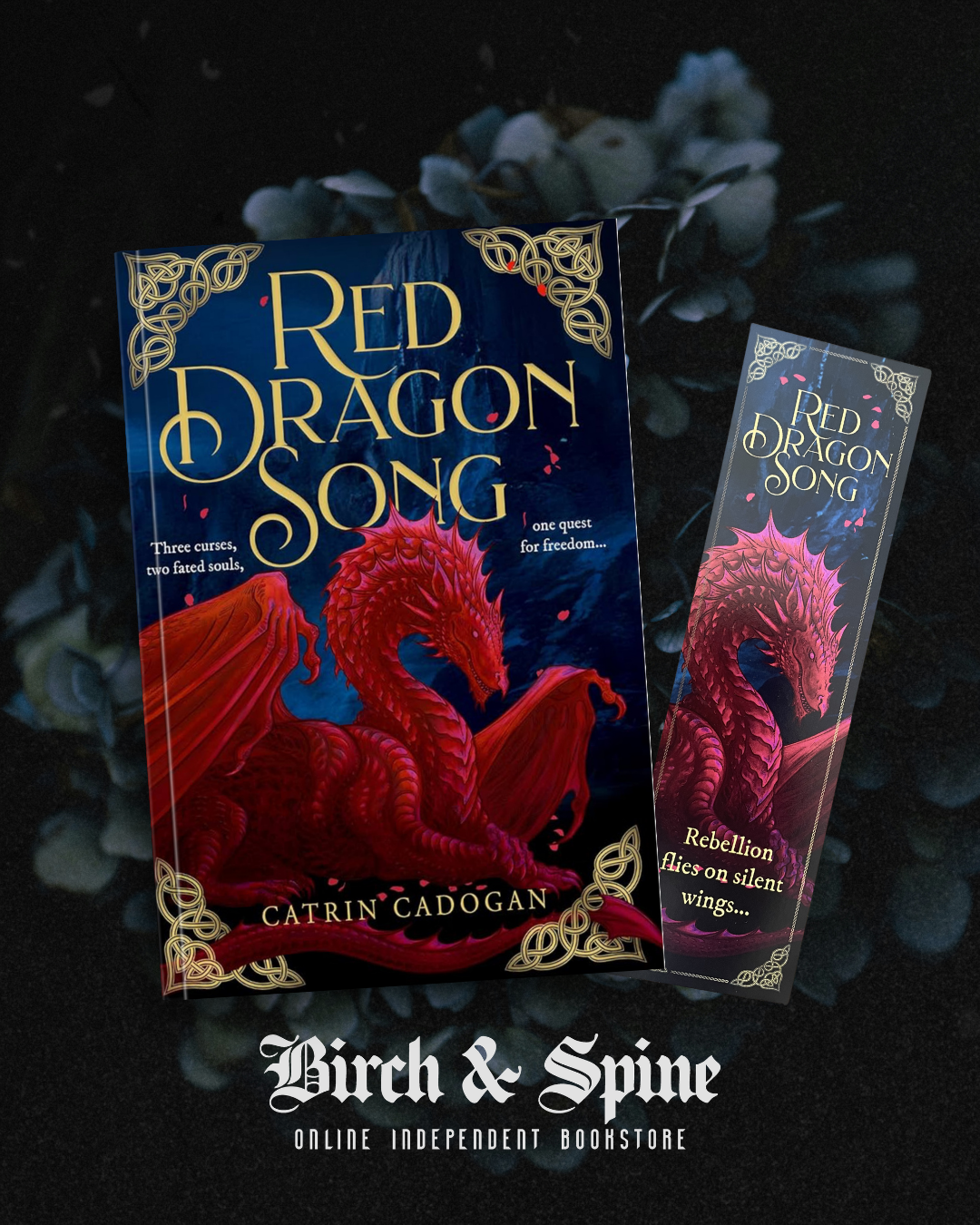 Red Dragon Song by Catrin Cadogan