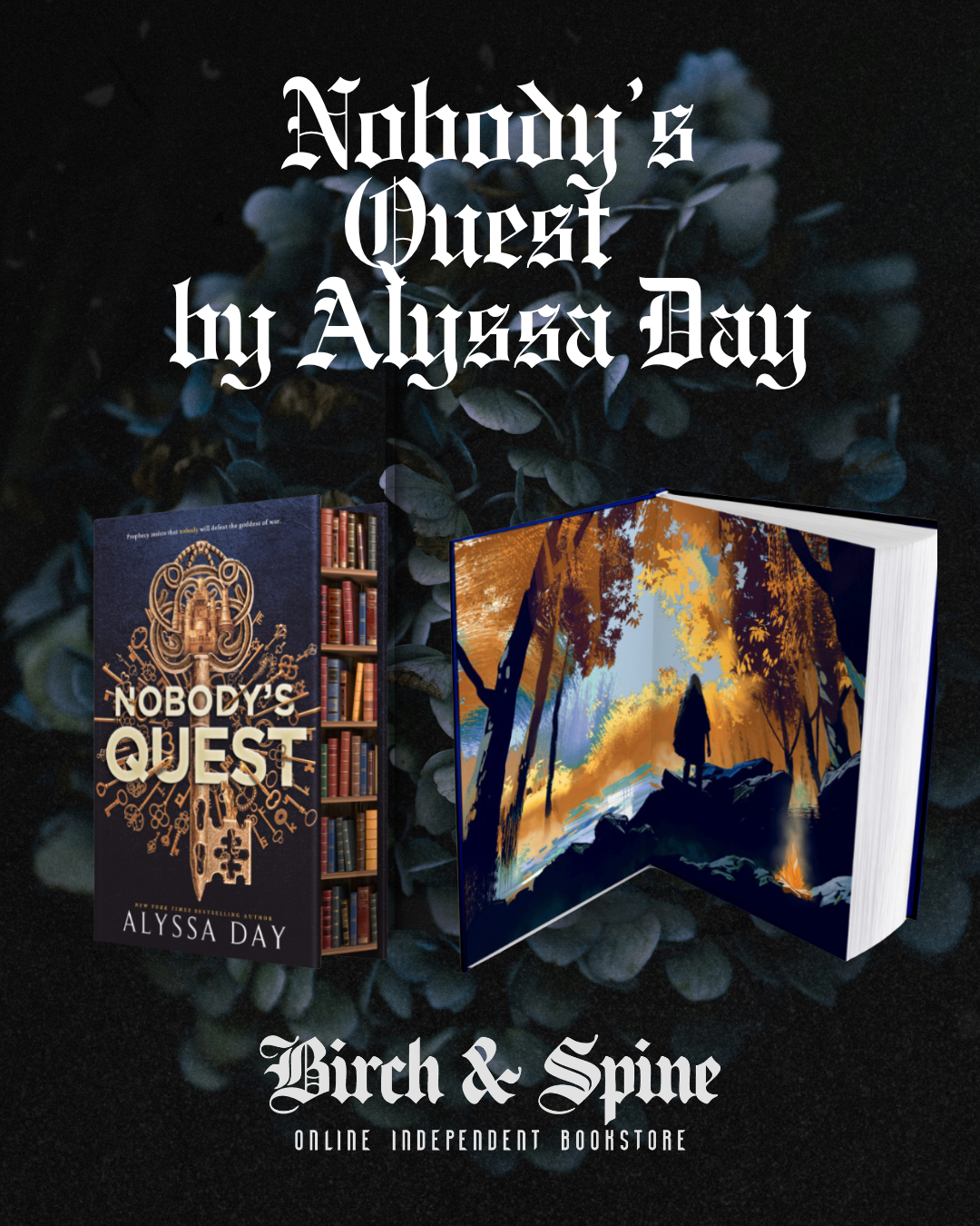 Nobody's Quest by Alyssa Day