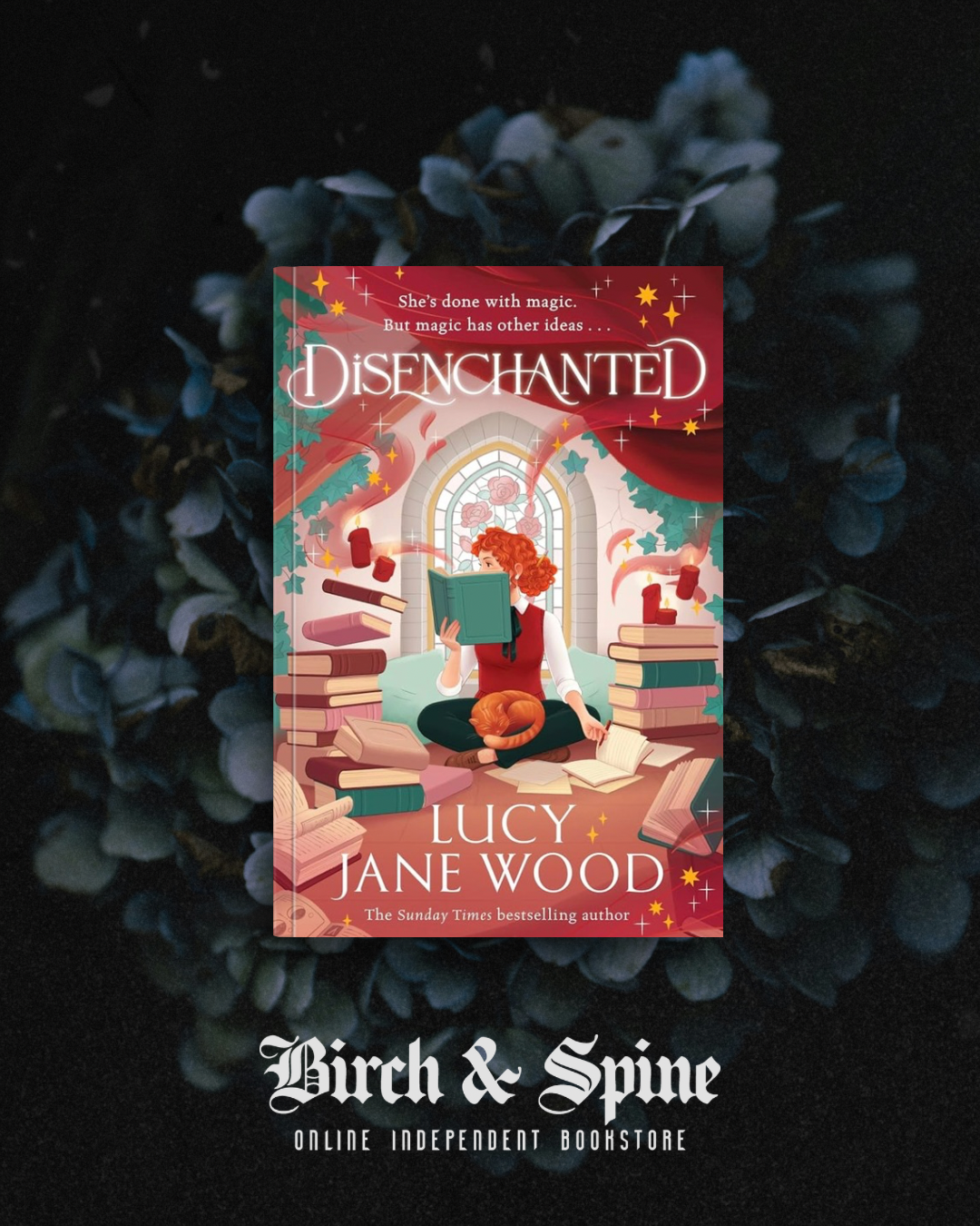 Disenchanted by Lucy Jane Wood