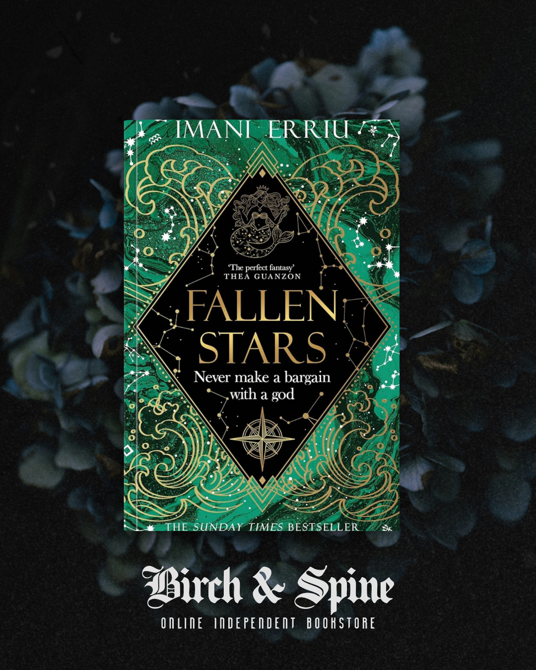 Fallen Stars by Imani Erriu
