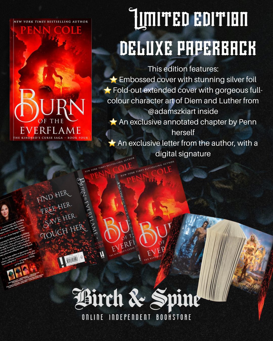 Burn of the Everflame by Penn Cole