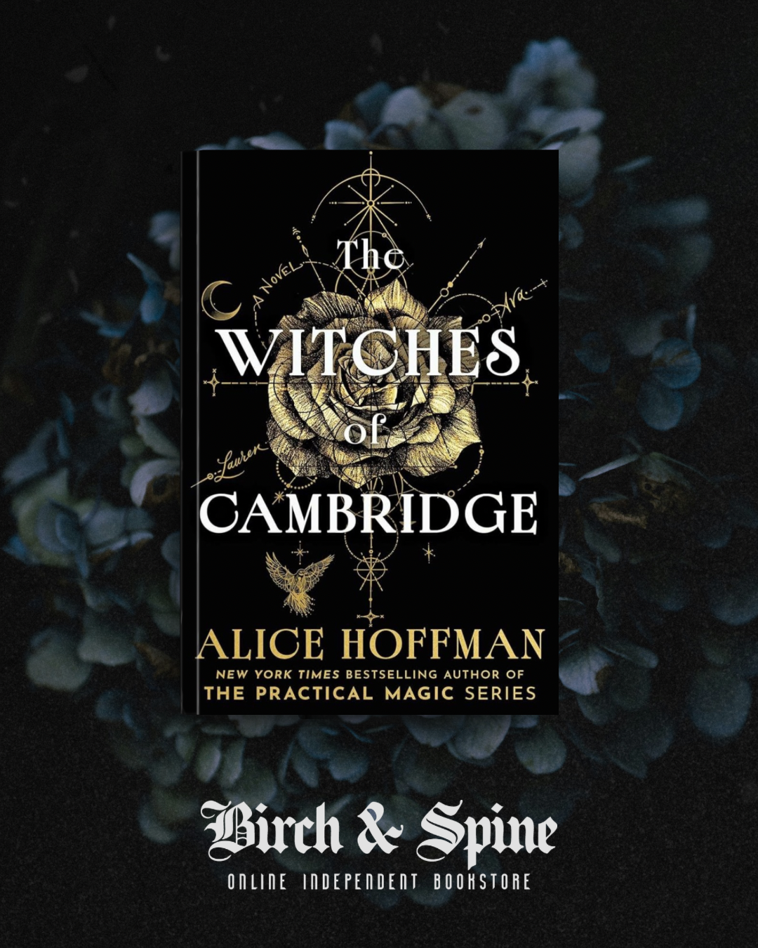 The Witches of Cambridge by Alice Hoffman - Signed by Author