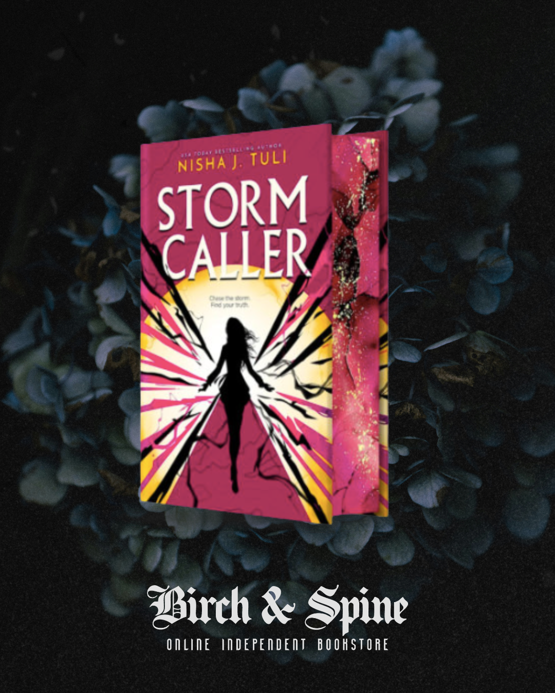 Storm Caller by Nisha J. Tuli