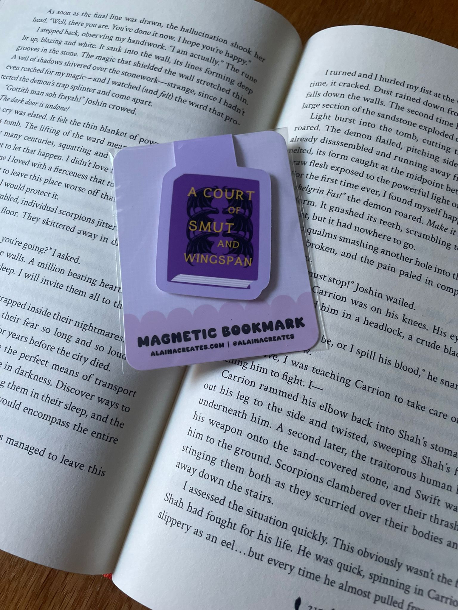 Magnetic Bookmark - A Court of Smut and Wingspan