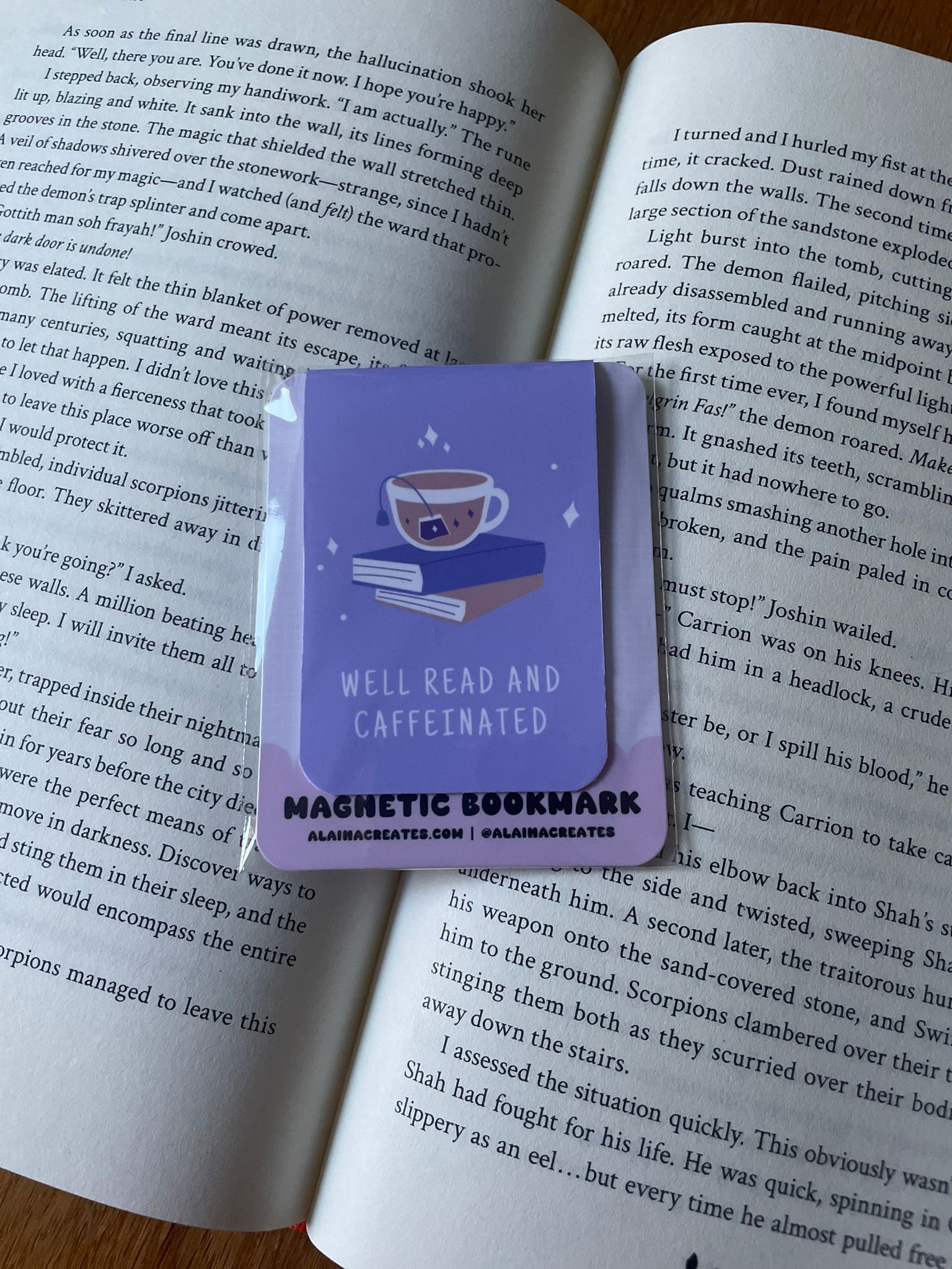 Magnetic Bookmark - Well Read