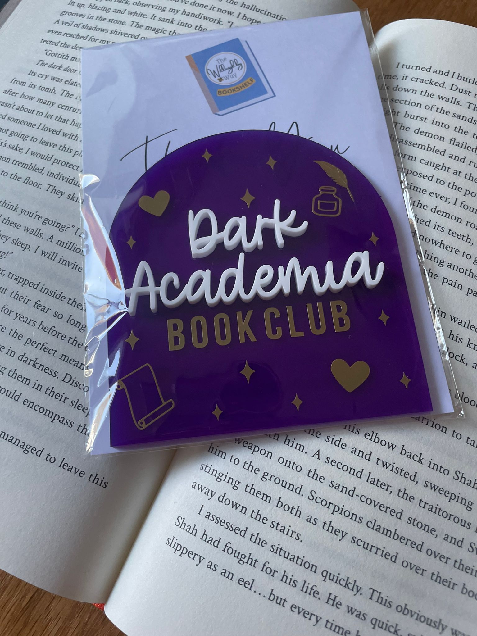 Dark Academia Romance Book Club Arch